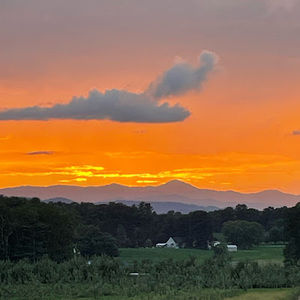 Meet your Posher, Brenton